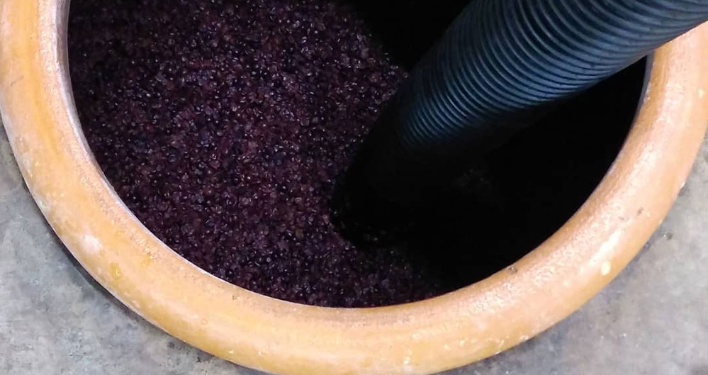 グレープリパブリック